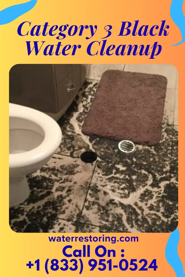 Category 3 Black Water Cleanup in Virgil, IL